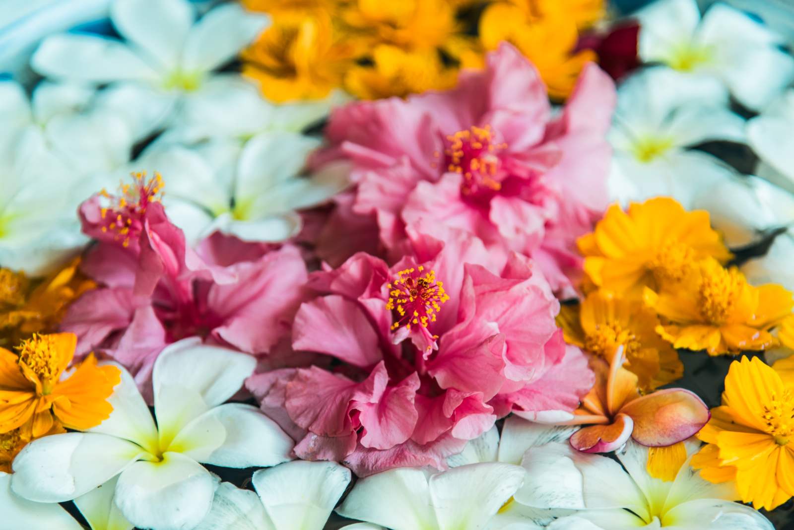 Seebestattung Leipzig