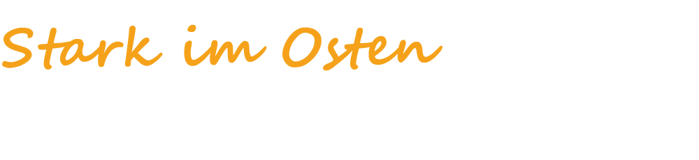 logo-lausitzer-sarg-2024